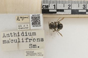 Media type: image;   Entomology 789147 Aspect: Labels